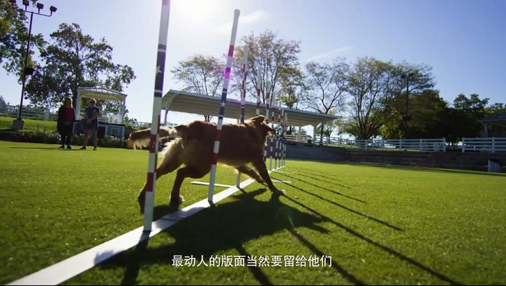 好味道广告图文,好味道节目