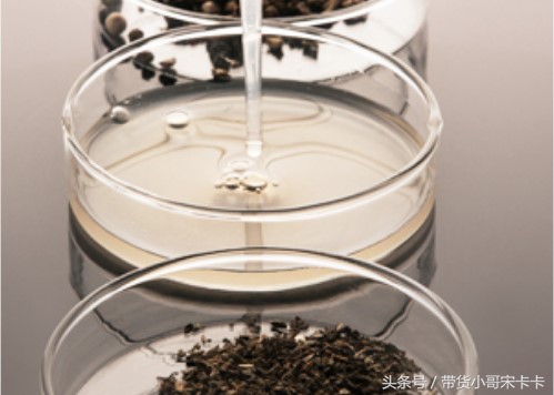 妆感自然适合油皮的平价气垫,妆感持久的气垫