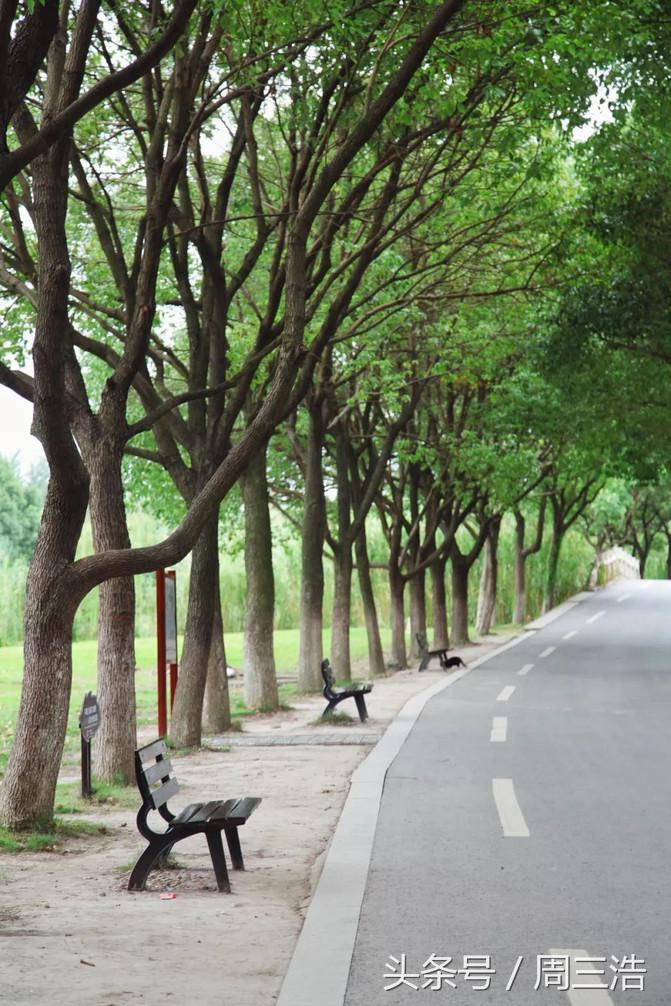 沙家浜夜游旅游攻略大全,沙家浜春节一日游攻略