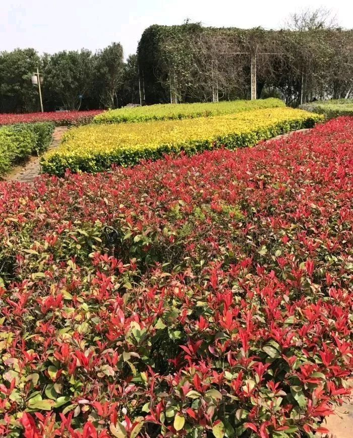 南昌纯玩一日游必去景点攻略大全,南昌纯玩一日游必去景点攻略图