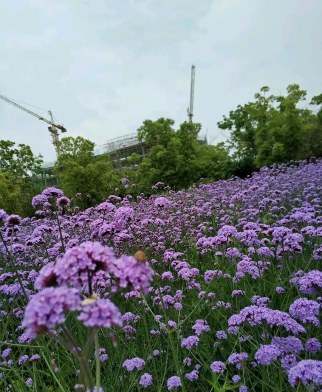 南昌纯玩一日游必去景点攻略大全,南昌纯玩一日游必去景点攻略图