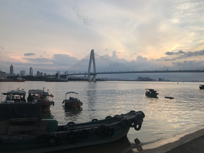 海口特色美食游玩攻略,玩转海口经典美景加美食攻略