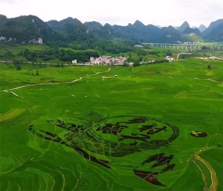 *共中**中央国务院印发《乡村振兴战略规划（2018—2022年）》