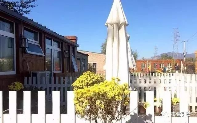 冷清的农家院被设计师折腾坏了成了京城第一精致生态农场