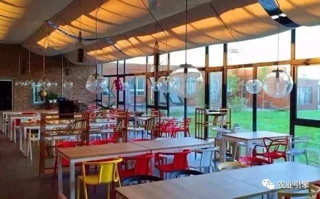 冷清的农家院被设计师折腾坏了成了京城第一精致生态农场