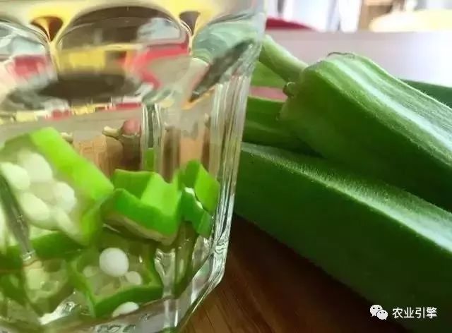 冷清的农家院被设计师折腾坏了成了京城第一精致生态农场