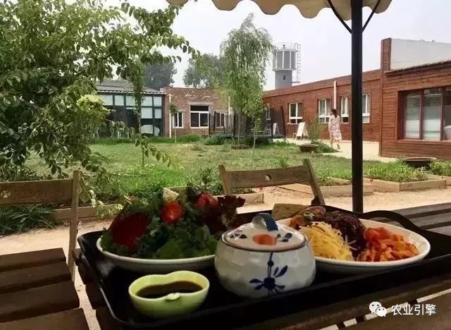冷清的农家院被设计师折腾坏了成了京城第一精致生态农场