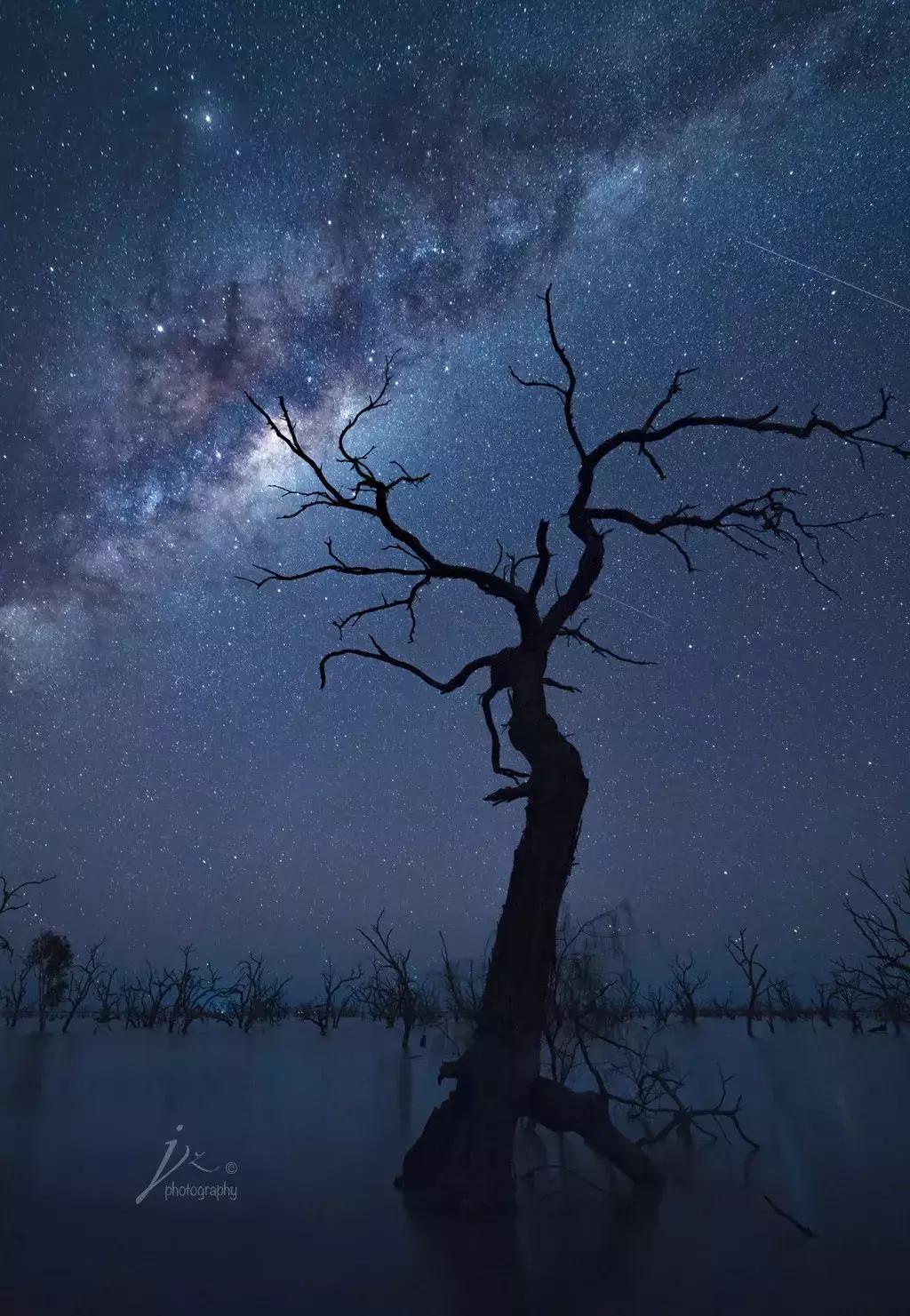 小白实用摄影技巧,小白摄影入门单反推荐