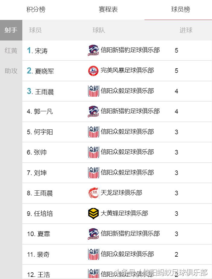 信阳蚂蚁足球俱乐部假日足球赛,信阳大黄蜂足球队