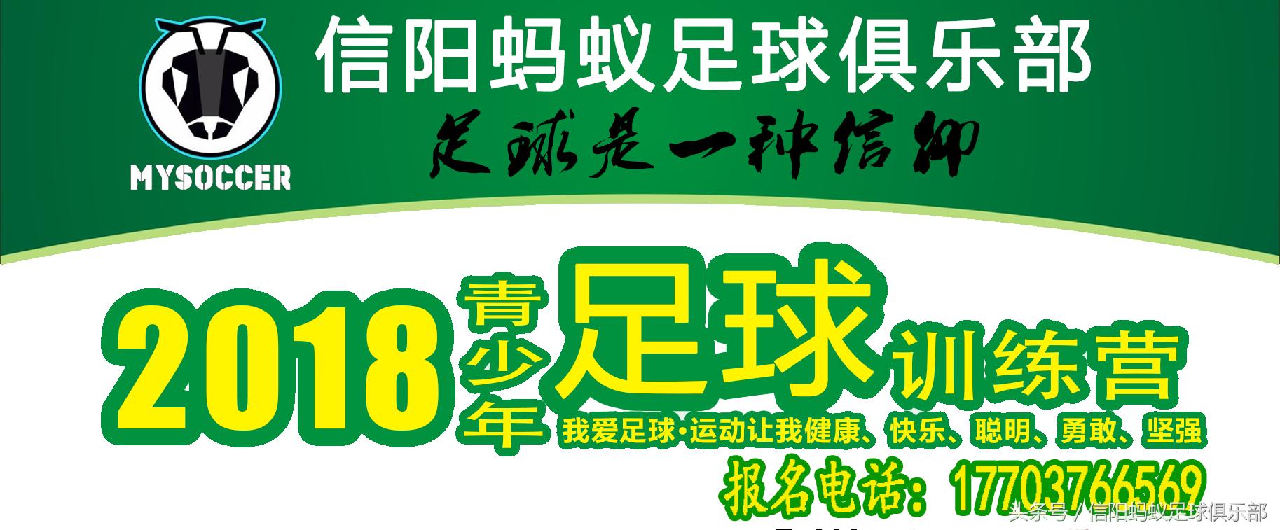 信阳大黄蜂足球,河南信阳蚂蚁足球俱乐部