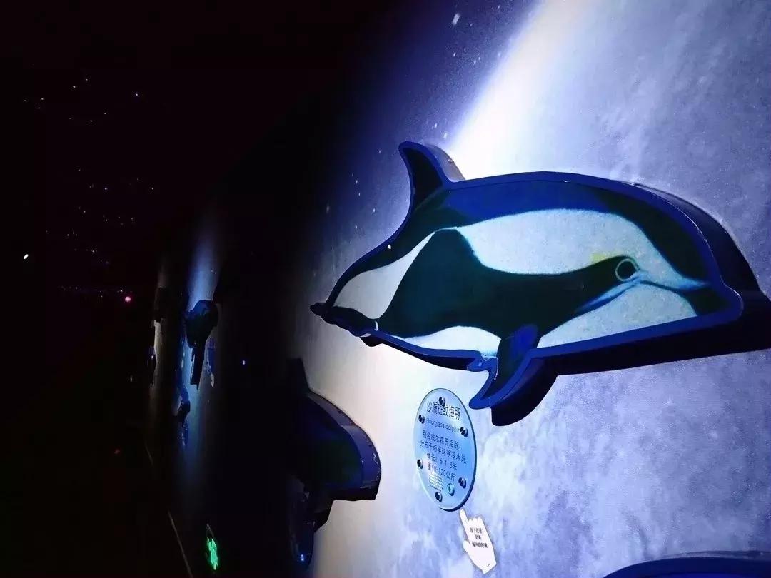 海底世界乐高大颗粒简单版,富国游海底世界