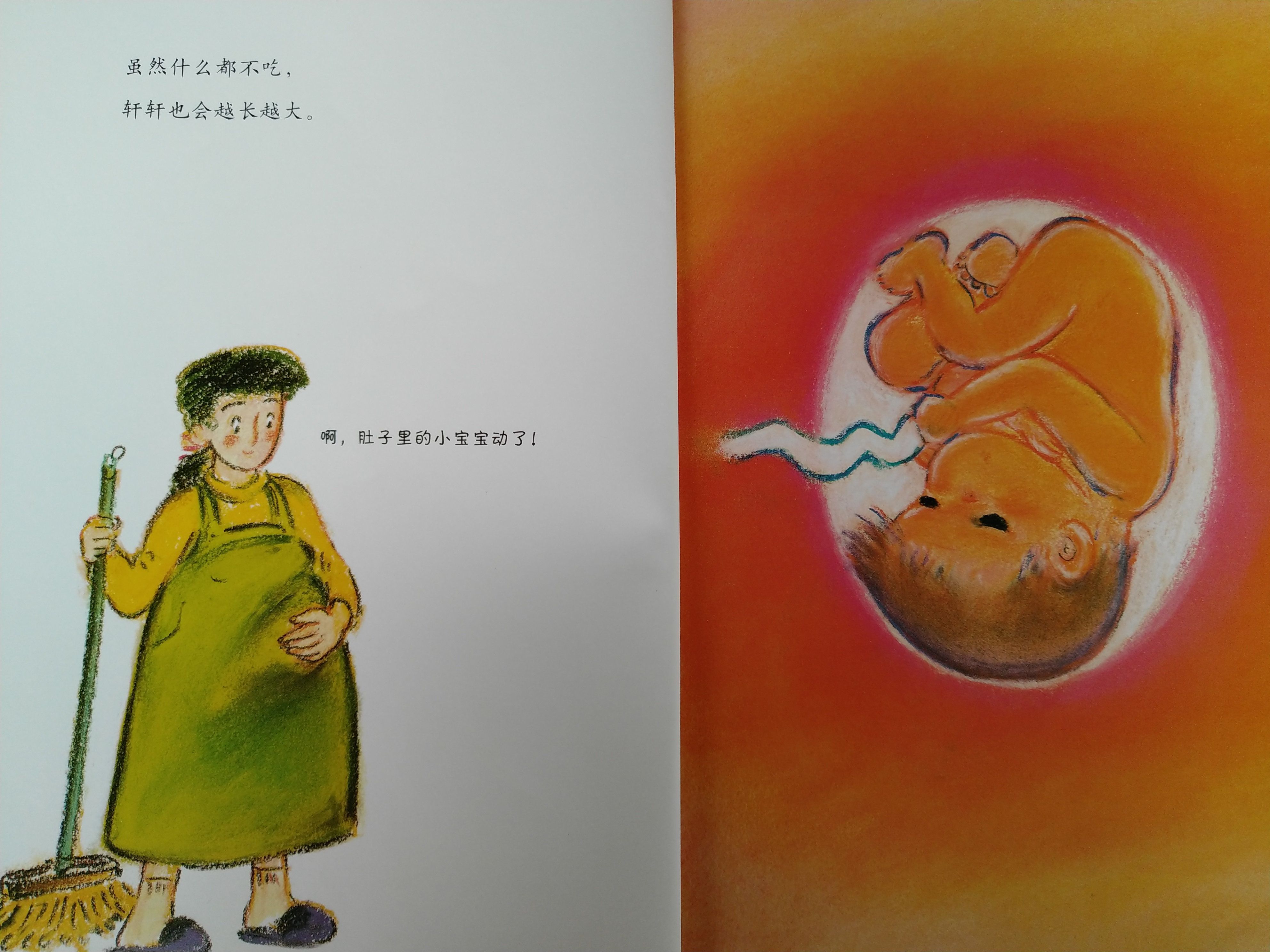 有声绘本故事小猪,肚脐的故事有声绘本