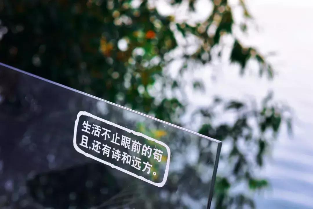 人均350+，住千岛湖最美民宿，吃大鱼头，还有私人小岛定制美拍！