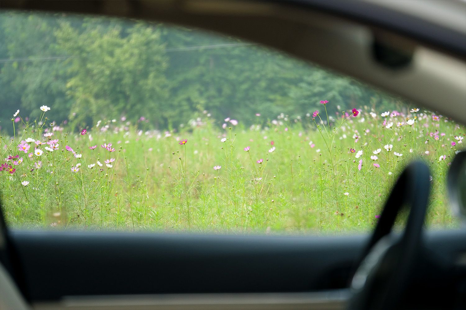 丰田凯美瑞混动2024款沉浸式体验,以设计师的眼光去看待事物