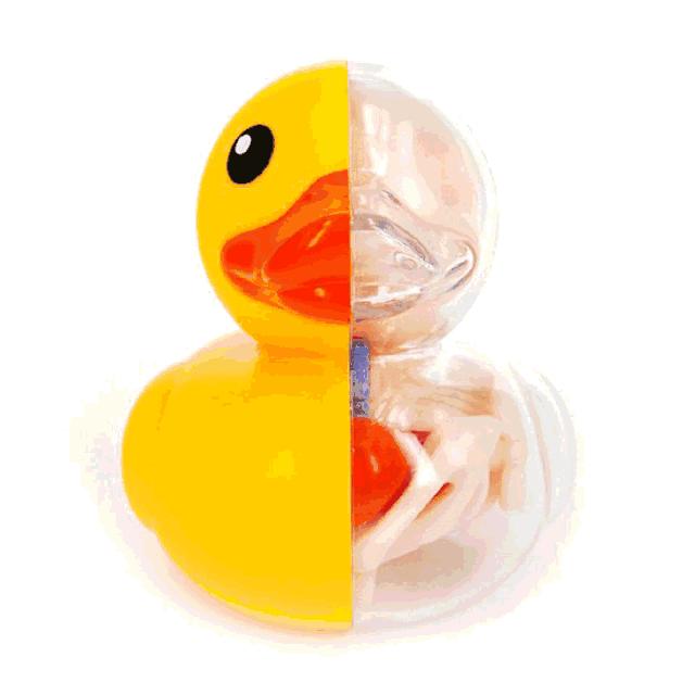 模型supreme (supreme模型)