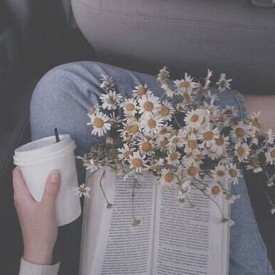 100个修炼方法,适合女生的100个小技巧