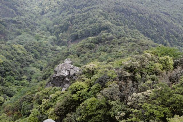 十一国内旅游最值得去的地方,十一假期去哪里旅游排行