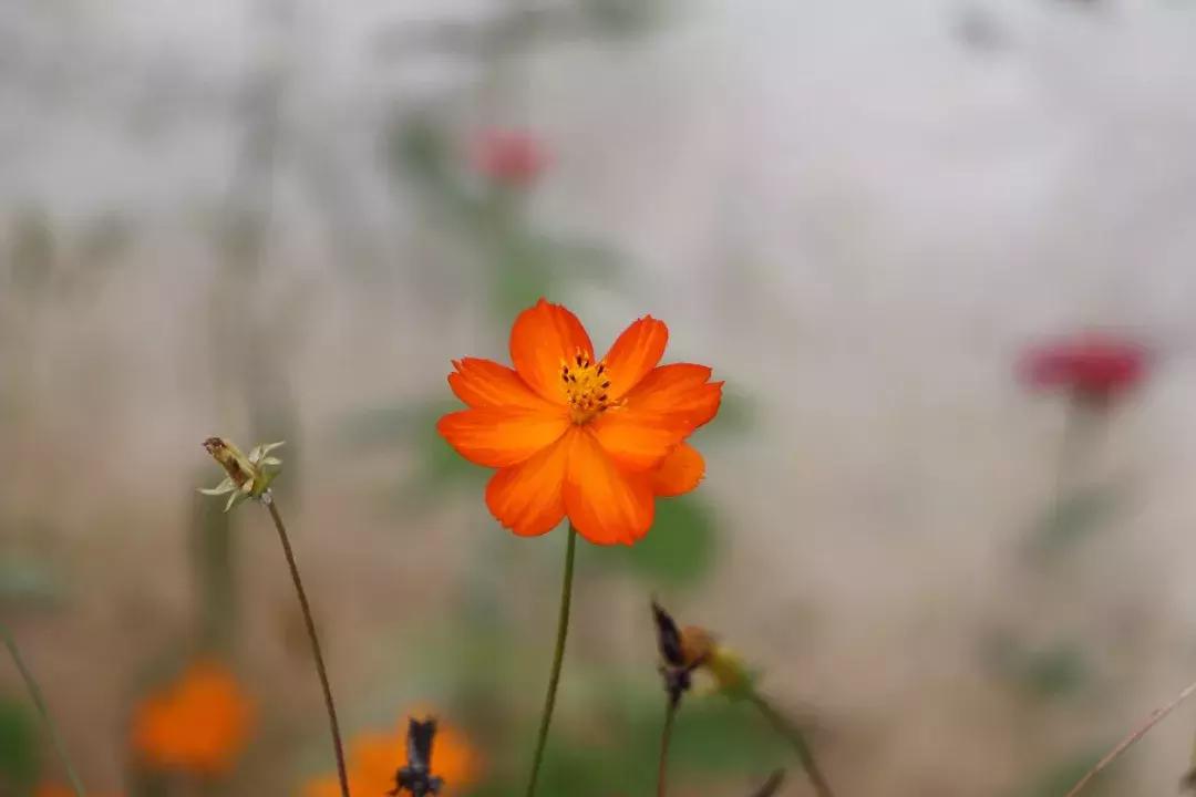 一无所有的感悟句子,写给自己一无所有的句子