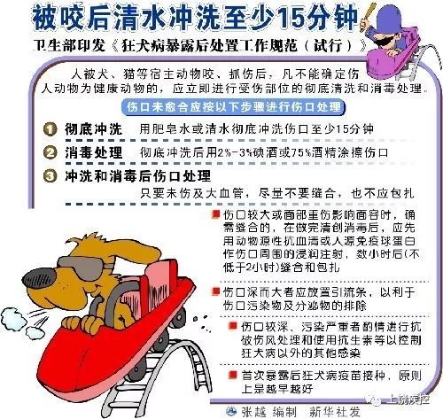 被兔子咬伤需要狂犬疫苗吗,被老鼠兔子咬了要打狂犬疫苗吗