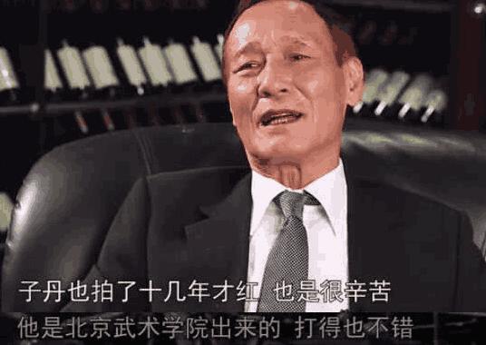 陈国敏谈李连杰甄子丹,陈惠敏评价甄子丹李连杰