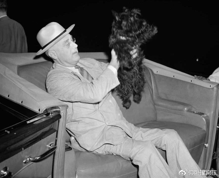 历史上三位总统没有养宠物,美国历史上46个总统