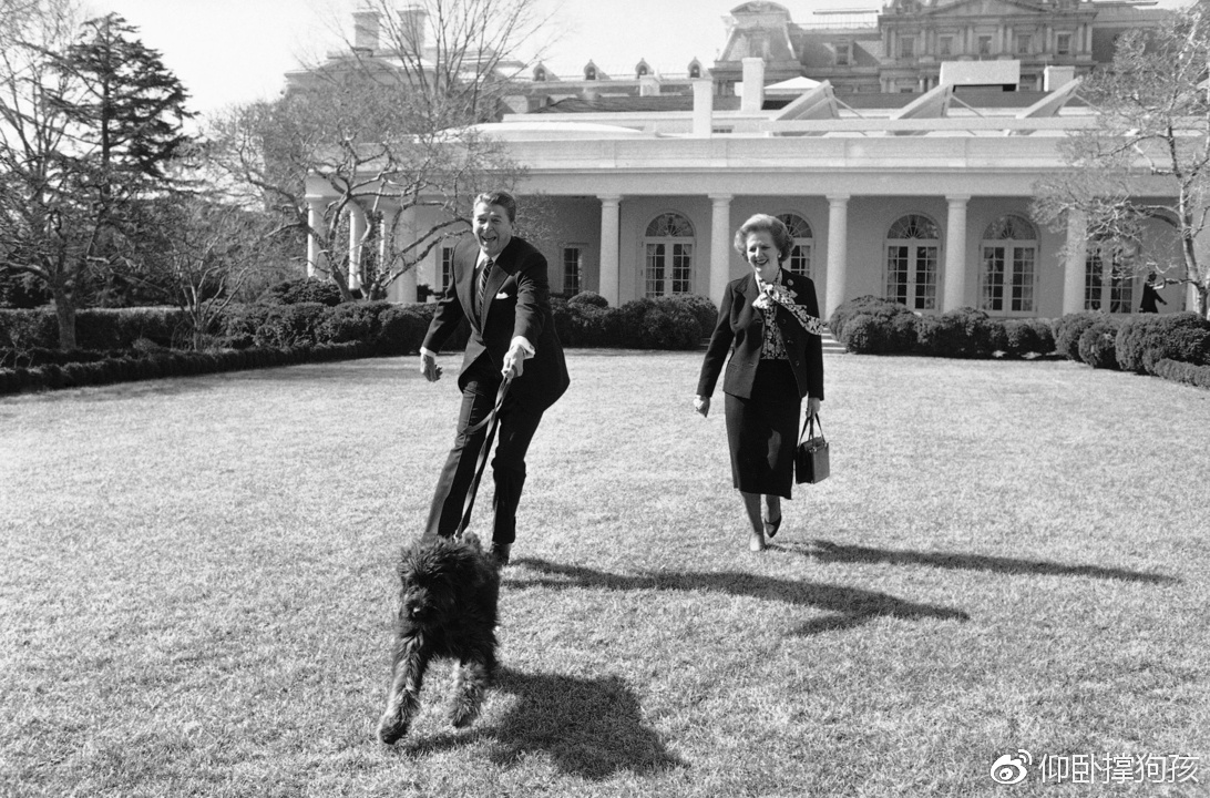 历史上三位总统没有养宠物,美国历史上46个总统