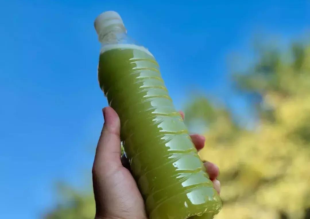 玩在泉州吃在潮汕,玩在江浙吃在四川