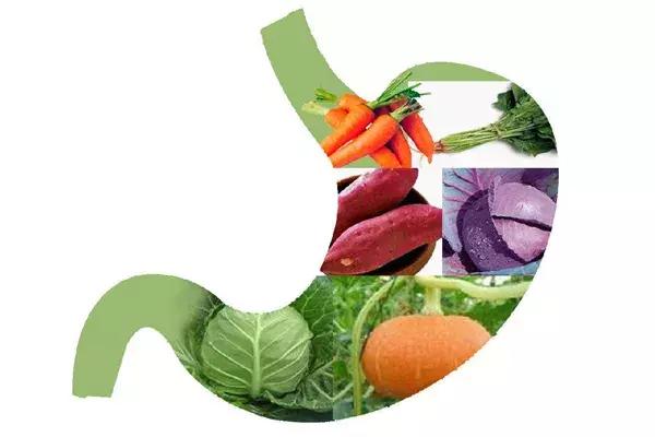 「悠阁良品科普向」饼干不见得都有猴头菇！猴头菇粉倒是真材实料