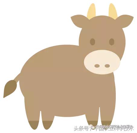 兽医诊断书籍推荐,畜禽疾病处方指南