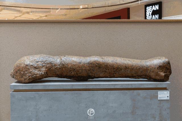 距离国庆休假还有多少天,国庆假期出游穿衣指南