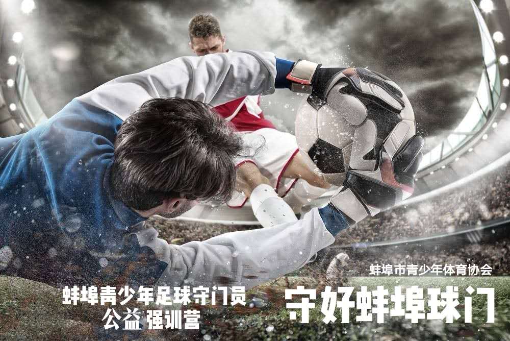 蚌埠青少年足球训练基地队标,守好足球