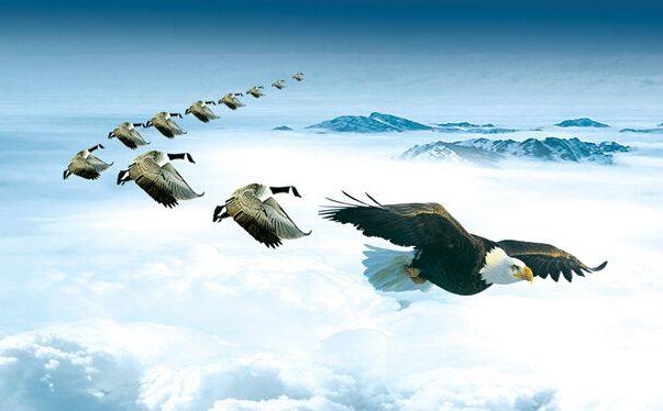 领导力21法则完整版,21个领导力法则