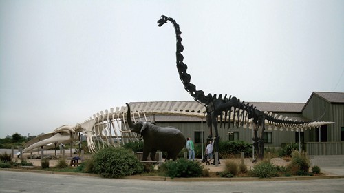 远古巨兽现在去哪了,最强远古巨兽