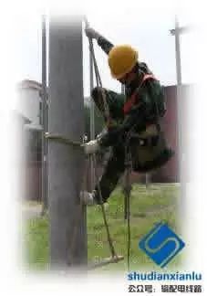 架空线路金具及杆上电气设备识别,架空线路金具和绝缘子