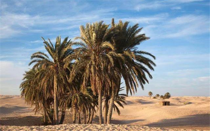 星球大战魅影危机最后胜利,星球大战第一部魅影危机