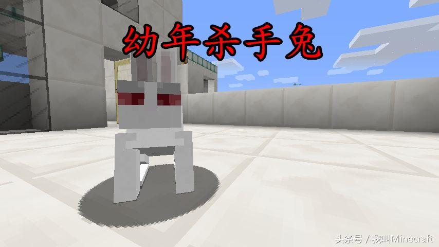我的世界关于兔子的冷知识,我的世界三种特殊兔子