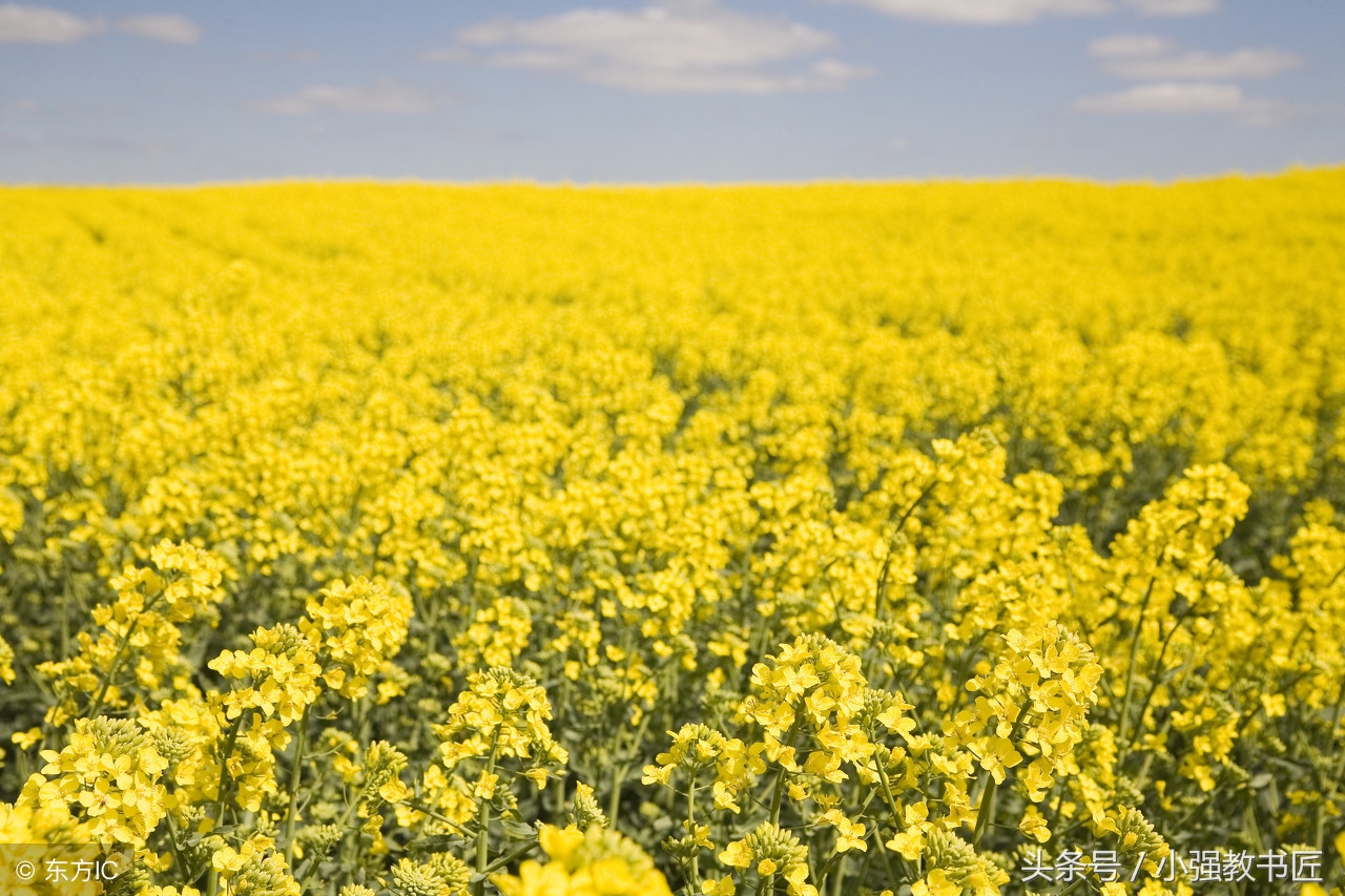教师资格证教育知识与能力刷题,教师资格证考试电子黑板