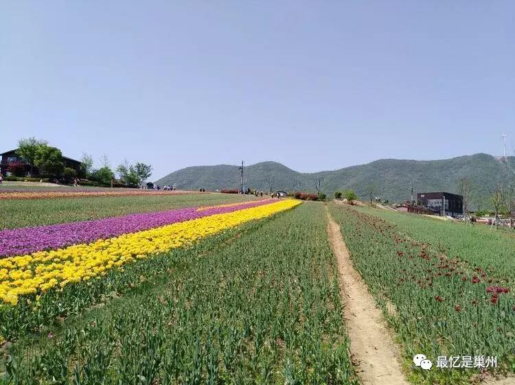 魅力合肥大图片,魅力合肥全景