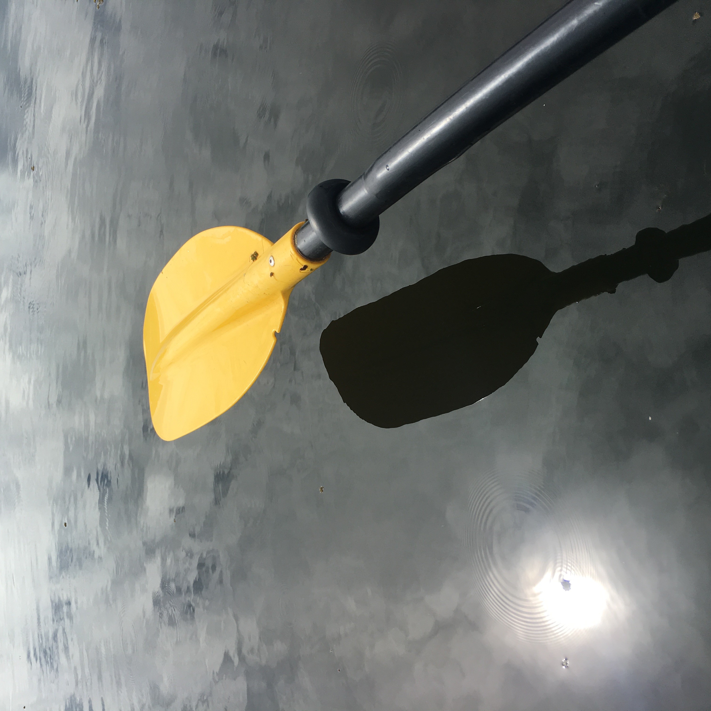 丽江旅游拉市海攻略,丽江拉市海怎么样值得旅游吗