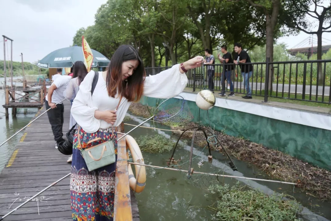 阳澄湖旅游吃大闸蟹民宿,沙家浜景区芦花湾住宿