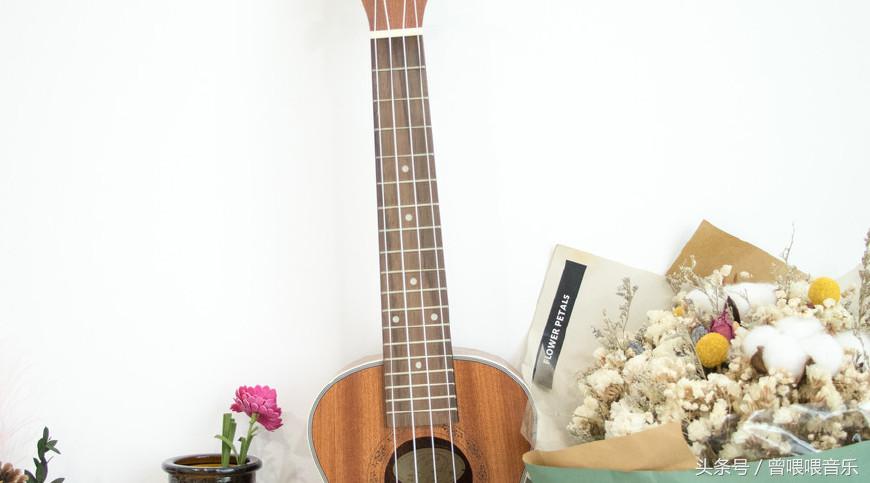 零基础学尤克里里可以看简谱吗,初学尤克里里每天必练的十个动作