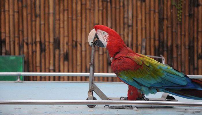 苏州中秋国庆活动,苏州国庆打折活动