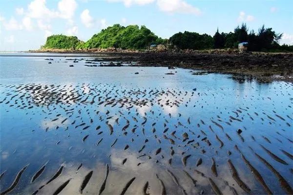 防城港旅游三天两夜攻略,防城港三天两夜旅游攻略