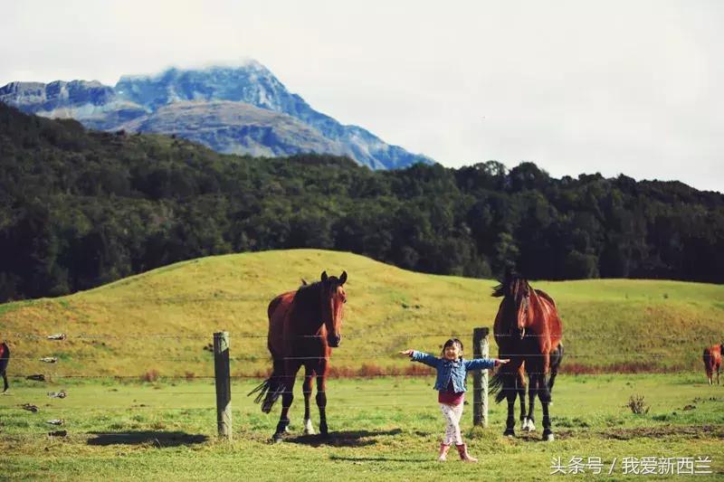 来新西兰以后才发现的变化,新西兰是不是最美丽的地方