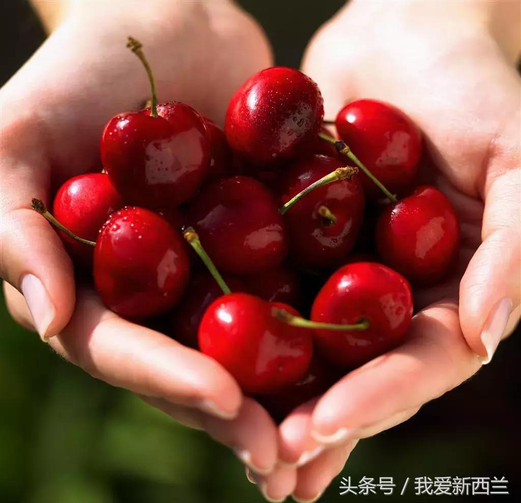 新西兰是不是最美丽的地方,新西兰到底有什么好玩