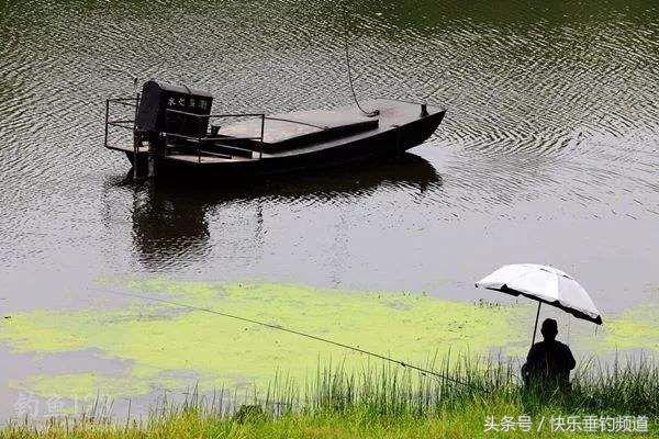 钓鱼100个专业术语,钓鱼的术语有哪些