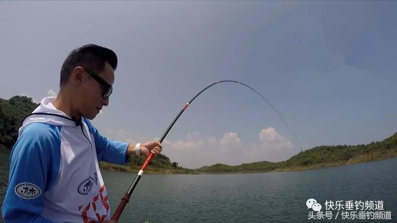 钓鱼100个专业术语,钓鱼的术语有哪些