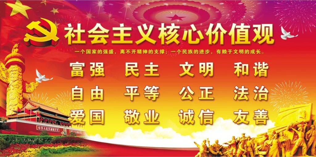 扶贫鸽,扶贫鸽子托起群众致富梦