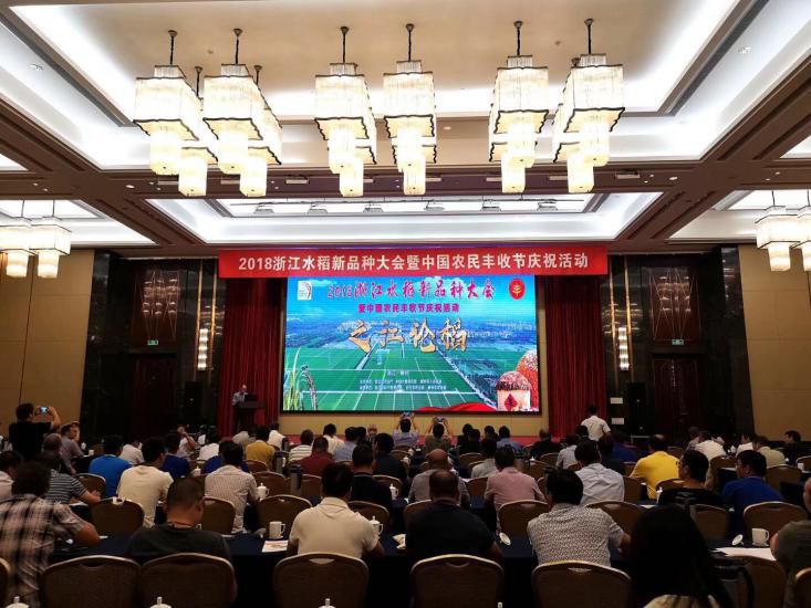 彩色米、年糕米、寿司米……291个品种亮相，稻米也可量身定制！