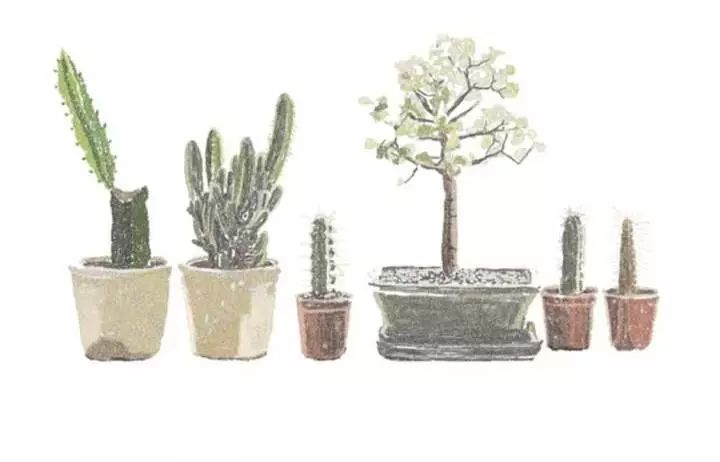 官宣幸福的句子,官宣幸福的歌曲